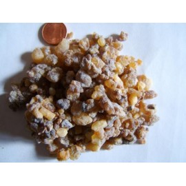 Kadidlo - Kadidlo pilovité - Boswellia serrata - 1kg