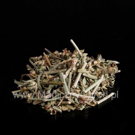 Čekanka - Cichorum intybus - 250g sekané