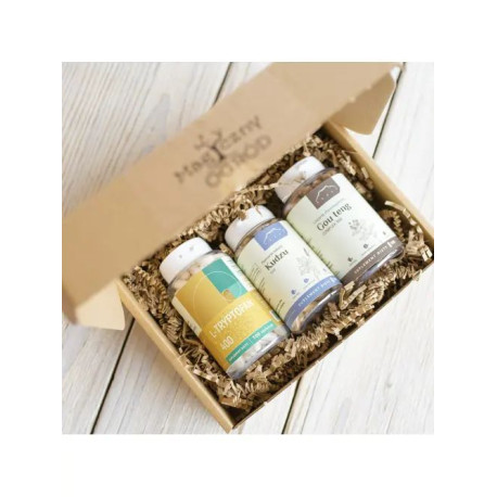 Modulární stavebnice pro boreliózu dle Buhnera - Neuro