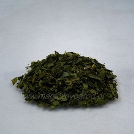 Česnek medvědí listový - Allium ursinum - 100g sekaných