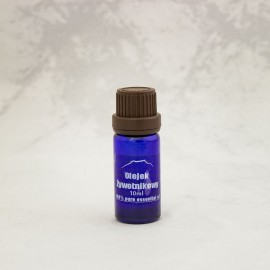 Thuja olej 100% - 10ml