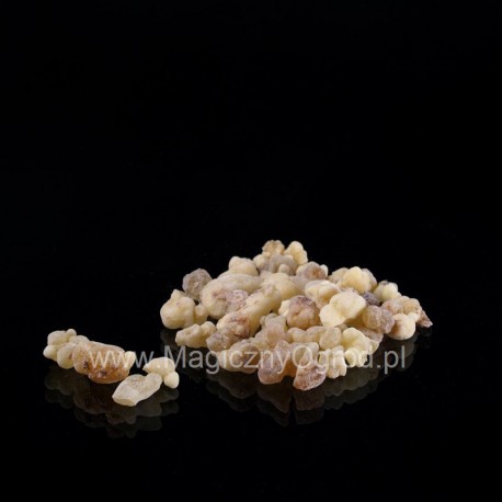 Olibanum Omán - Boswellia sacra - 50g