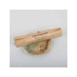 Pelyněk Louisiana stříbrný královna – 50g řez