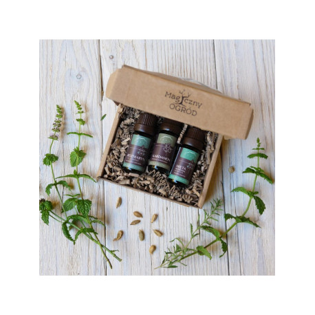 Nastavte si čistou mysl