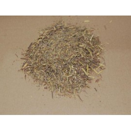 Damian Ubrousek - Turnera diffusa - 50g mleté