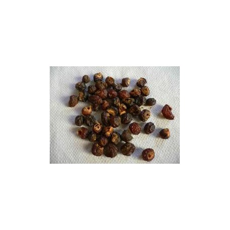 Ořechy Trifoliatus na praní - Sapindus triifoliatus - 1kg