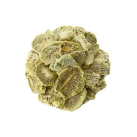 Mrazem sušené kiwi - 100g