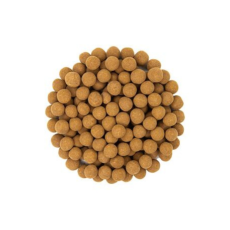 Rýžové křupky se skořicí