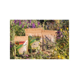 Kouzelná čajová souprava