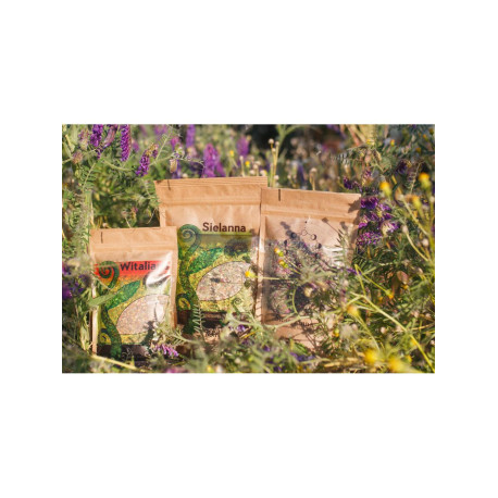 Kouzelná čajová souprava