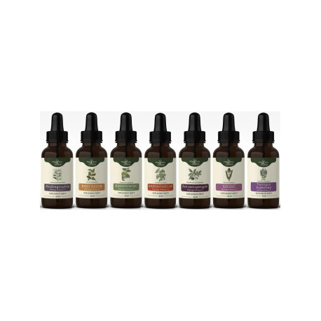 Bühnerův protokol tinktury z lymské boreliózy - PRODLOUŽENÝ - 50ml