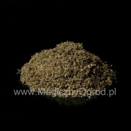Divizna jemná - Verbascum thapsiforme - 5kg