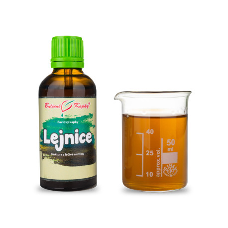 Lejnice (TČM) - Pavlovy bylinné kapky (tinktura) 50 ml