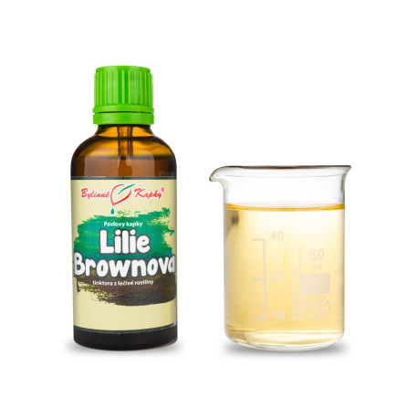 Lilie hnědá (TČM) - Pavlovy bylinné kapky (tinktura) 50 ml