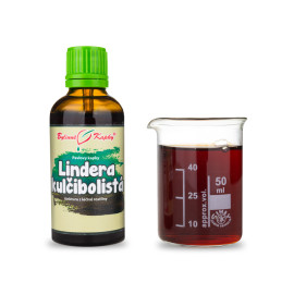 Lindera kulčibolista (TČM) - Paulovy bylinné kapky (tinktura) 50 ml