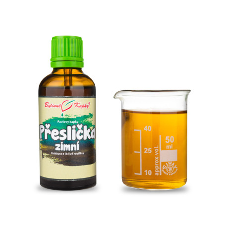 Přeslička rolní zimní (TČM) - Paulovy bylinné kapky (tinktura) 50 ml