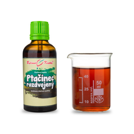 Ptačinec (TČM) - Paulovy bylinné kapky (tinktura) 50 ml