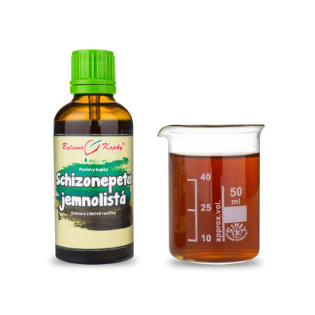 Schizonepeta (TČM) - Pavlovy bylinné kapky (tinktura) 50 ml