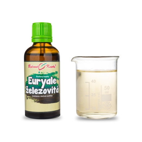 Euryale ferrous (TČM) - Paulovy bylinné kapky (tinktura) 50 ml