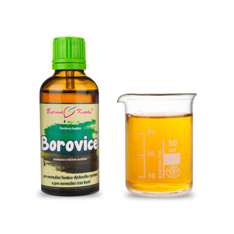 Kapky z výhonků borovice lesní (tinktura) 50 ml
