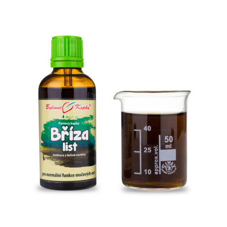 Březové převislé listové kapky (tinktura) 50 ml