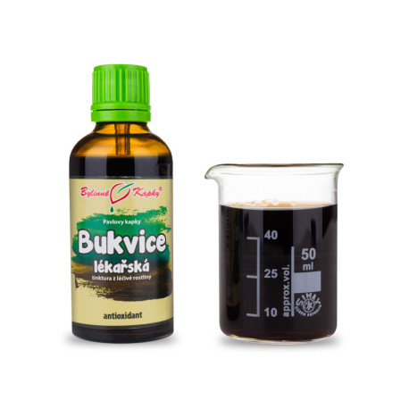 Betonika léčivé kapky (tinktura) 50 ml