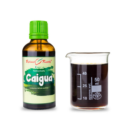 Caigua kapky (tinktura) 50 ml