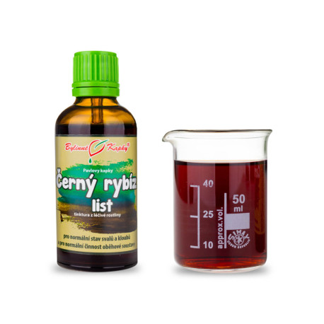 Kapky z listů černého rybízu (tinktura) 50 ml
