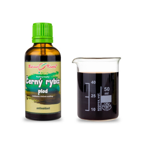 Ovocné kapky z černého rybízu (tinktura) 50 ml
