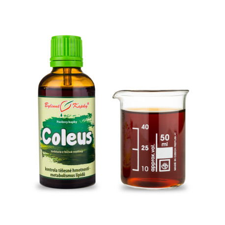 Coleus kapky (tinktura) 50 ml