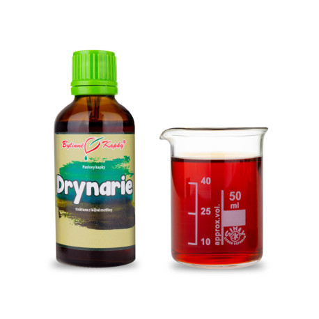 Drynaria (TČM) kapky (tinktura) 50 ml