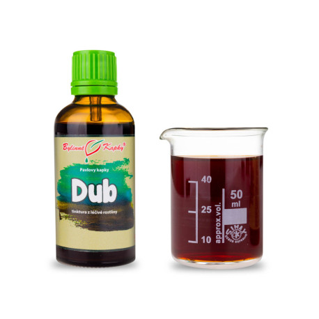 Dub letní (tinktura) 50 ml