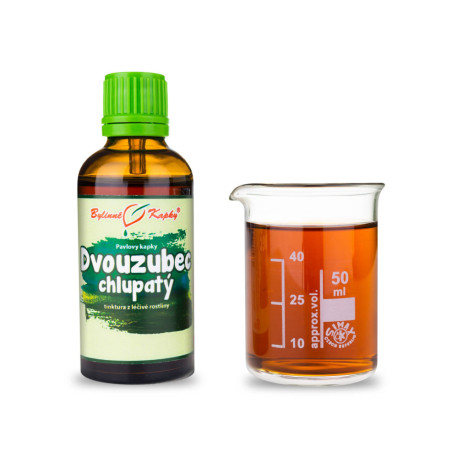 Dvouzubé chlupaté kapky (tinktura) 50 ml