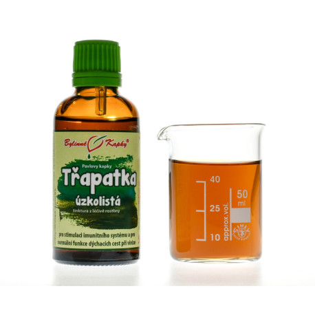 Echinacea angustifolia (Echinacea úzkolistá) kapky (tinktura) 50 ml