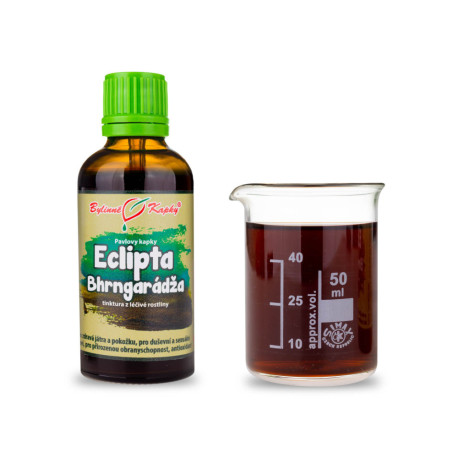 Eclipta Bílé kapky (tinktura) 50 ml
