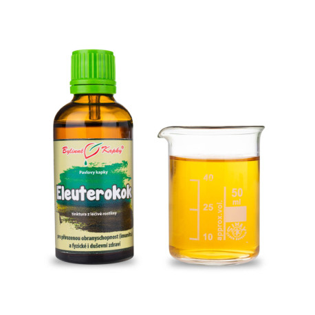 Všežravé štětinaté kapky (tinktura) 50 ml