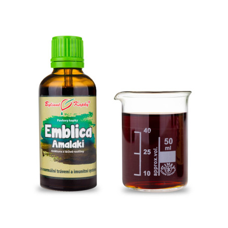 Amalaki kapky (tinktura) 50 ml