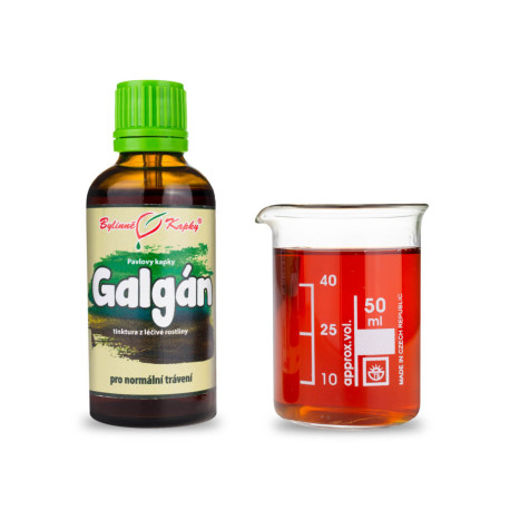 Alpínia léčivé kapky (tinktura) 50 ml