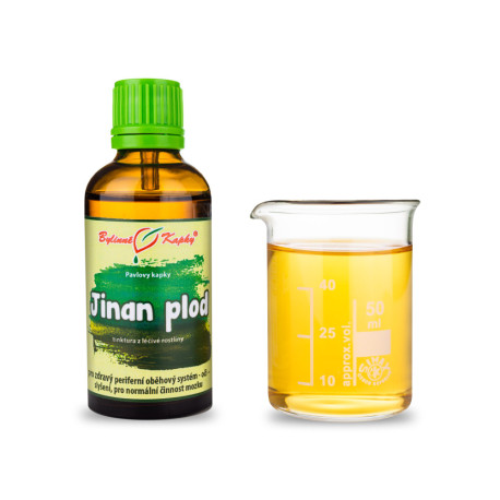 Ginkgo dvoulaločné ovocné kapky (tinktura) 50 ml