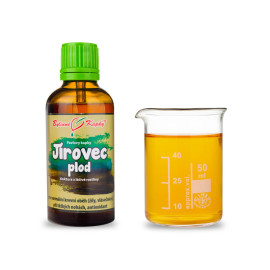 Ovocné kapky z kaštanu koňského (tinktura) 50 ml