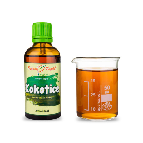 Kokotica kapky (tinktura) 50 ml