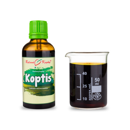 Koptis Čínské kapky (tinktura) 50 ml