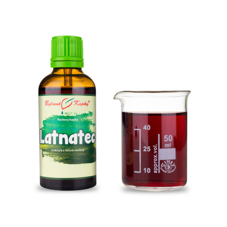 Latnatec kapky (tinktura) 50 ml