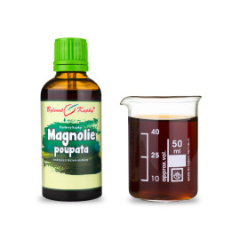 Magnolia pupeny kapky (tinktura) 50 ml