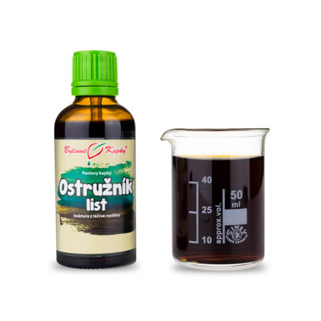 Kapky z listů ostružin (tinktura) 50 ml
