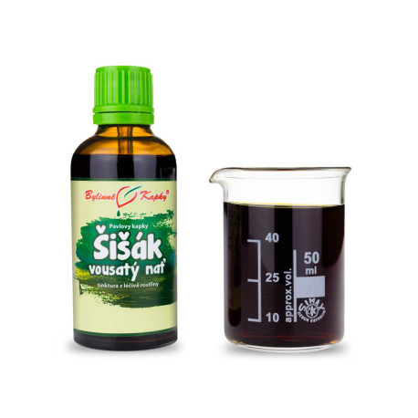 Kapky z borové šišky (tinktura) 50 ml