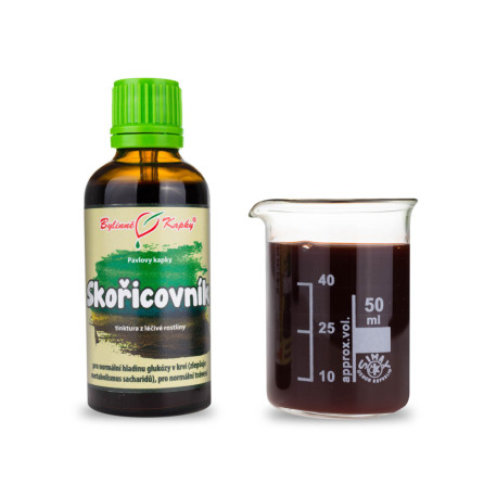 Skořicovník čínský (tinktura) 50 ml