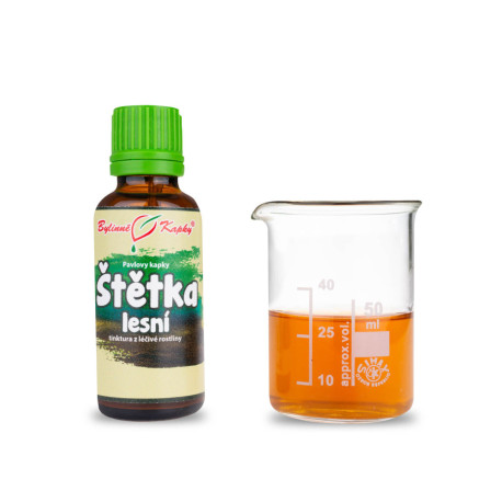 Kapky z lesního štětce (tinktura) 30 ml