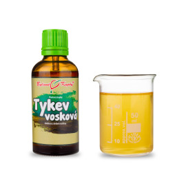 Dýňové voskové kapky (tinktura) 50 ml