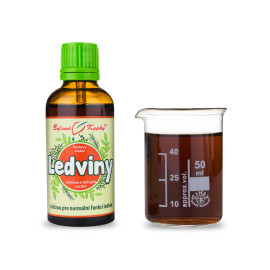 Ledviny I kapky (tinktura) 50 ml